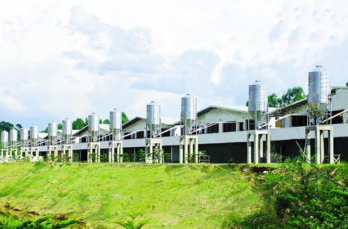 1620265219255906.jpg 未标题-2.jpg